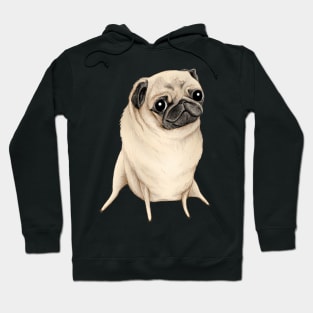 Sweet Fawn Pug Hoodie